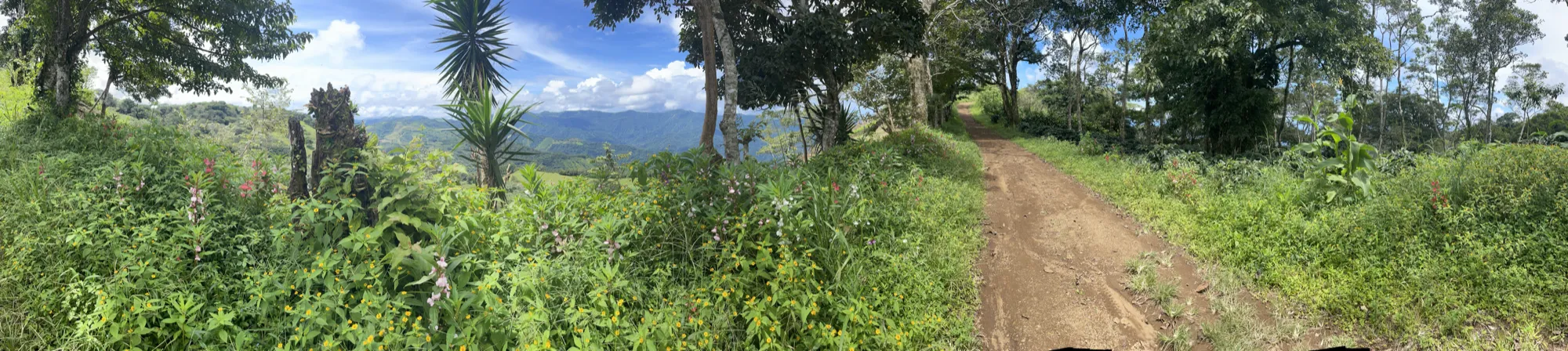 Finca orgánica de la AAOG en Guanacaste